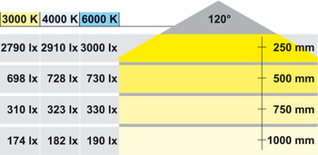 LED-Band, kürzbar, LED 3013 – Loox, 80 W, 24 V, 5 m, 30 LEDs/m, tageslicht-/kalt-/warmweiß