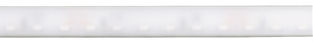 LED-bånd i silikoneslange, Häfele Loox5 LED 2099 12 V 2-pol. (monokrom) udstråling til siden, til not 4 x 10 mm, 120 LED/m, 9,6 W/m, IP44
